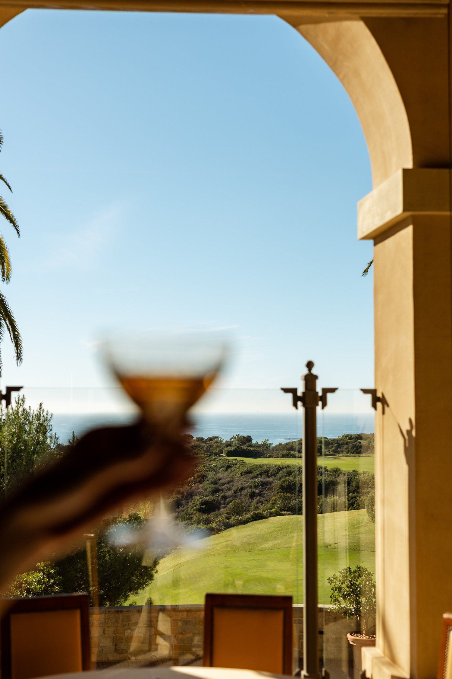 A glass raised over the coast