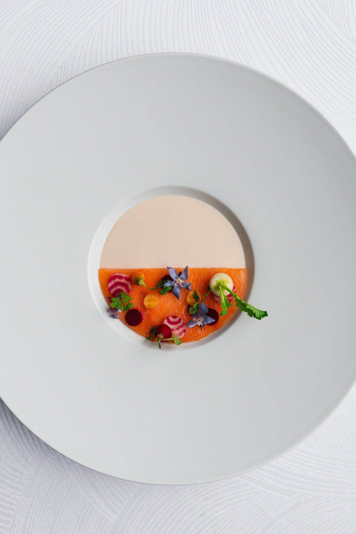 Composed plate on white